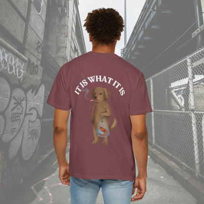 Funny Dog Shirt – Casual Graphic Tee with Quote, Gift for Dog Lovers, Everyday Summer T-Shirt